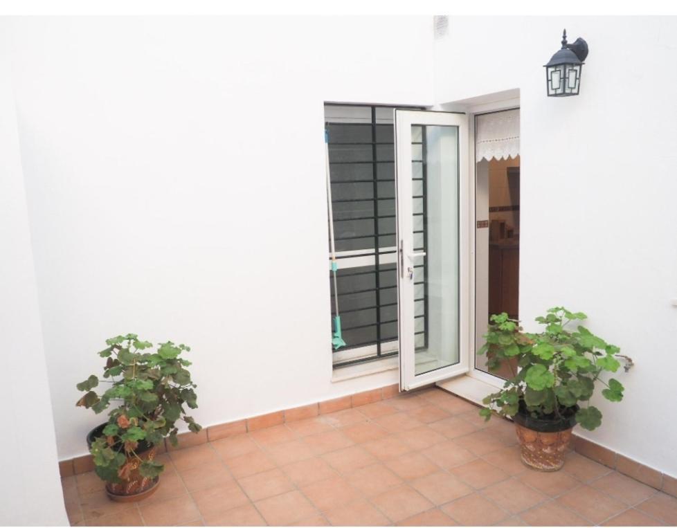 Conilplus Apartment Castilnovo Кониль-де-ла-Фронтера Экстерьер фото